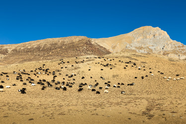 Similar image 21338372