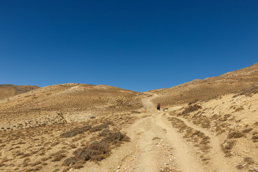 Similar image 21338373