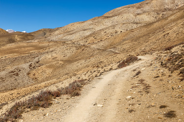 Similar image 21338374