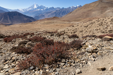 Similar image 21338376