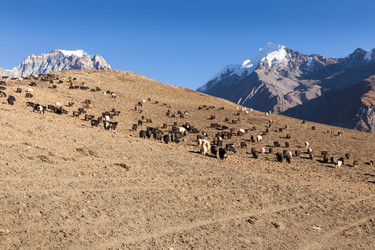 Similar image 21338387