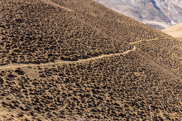 Similar image 21338395