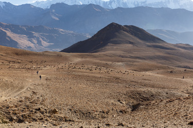 Similar image 21338402