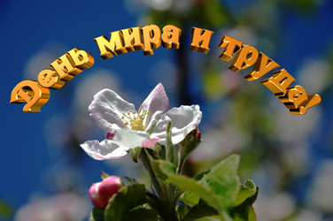 Similar image 21339086