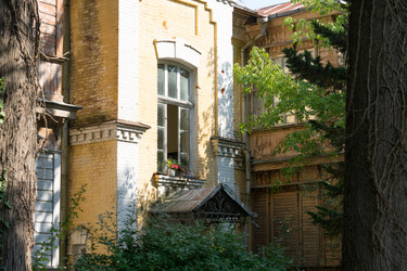 Similar image 21339919