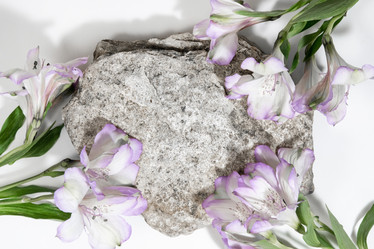 Similar image 21340177