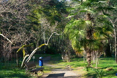 Similar image 21339929