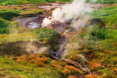 Similar image 21339724