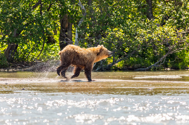 Similar image 21339727