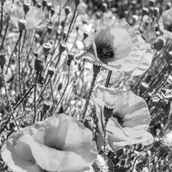 Similar image 21339740