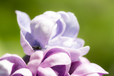 Similar image 21339744