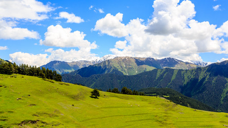 Similar image 21339748