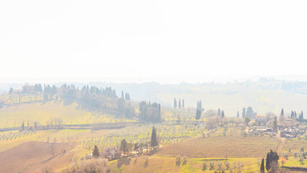 Similar image 21339752