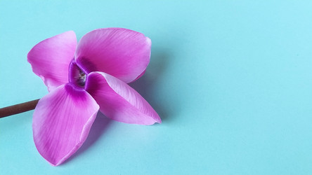 Similar image 21343131