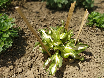 Similar image 21343186