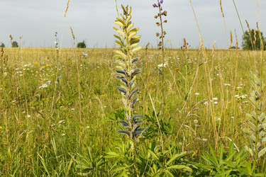 Similar image 21340283