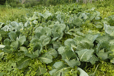 Similar image 21340287