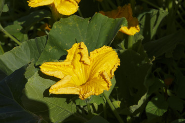 Similar image 21340288