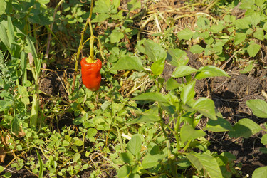 Similar image 21340297