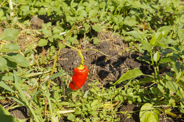 Similar image 21340300