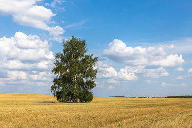 Similar image 21340317