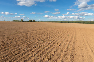 Similar image 21340319