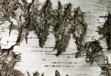 Similar image 21340321