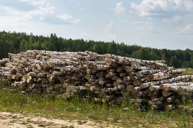 Similar image 21340323