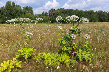 Similar image 21340327