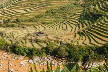 Similar image 21340342