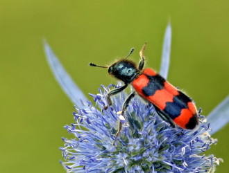 Similar image 21339765