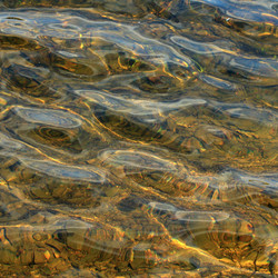 Similar image 21339766