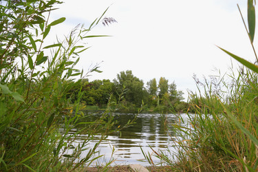 Similar image 21339769