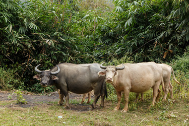 Similar image 21340216