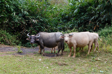 Similar image 21340220