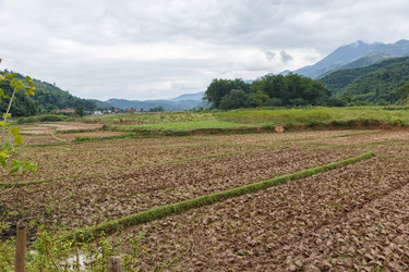 Similar image 21340222