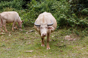 Similar image 21340226