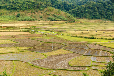 Similar image 21340229