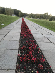 Similar image 21340436