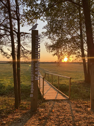 Similar image 21340437