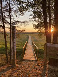 Similar image 21340438