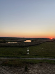 Similar image 21340440