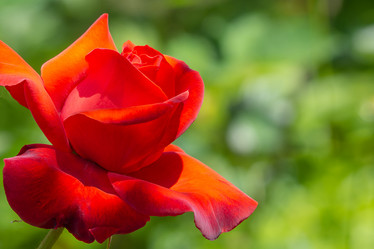 Similar image 21339848