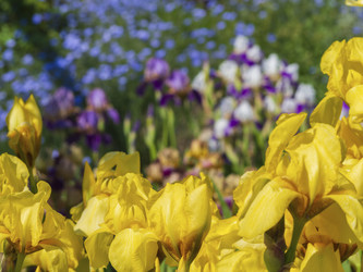 Similar image 21339854