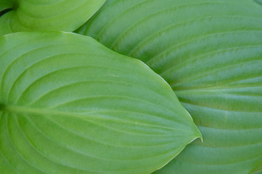 Similar image 21339856