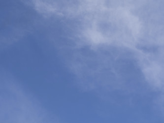 Similar image 21339857