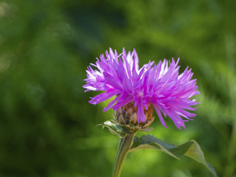 Similar image 21339869