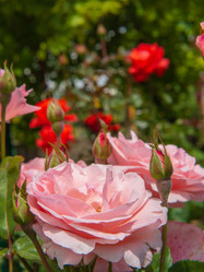 Similar image 21339870