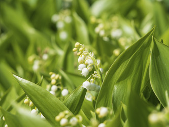 Similar image 21339871