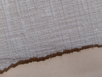 Similar image 21339872